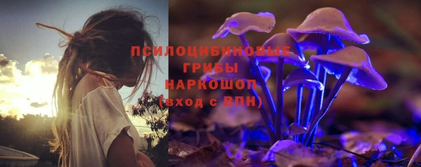 тгк Краснослободск