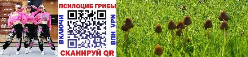 Купить закладки  Задонск  Псилоцибиновые грибы мухоморы 